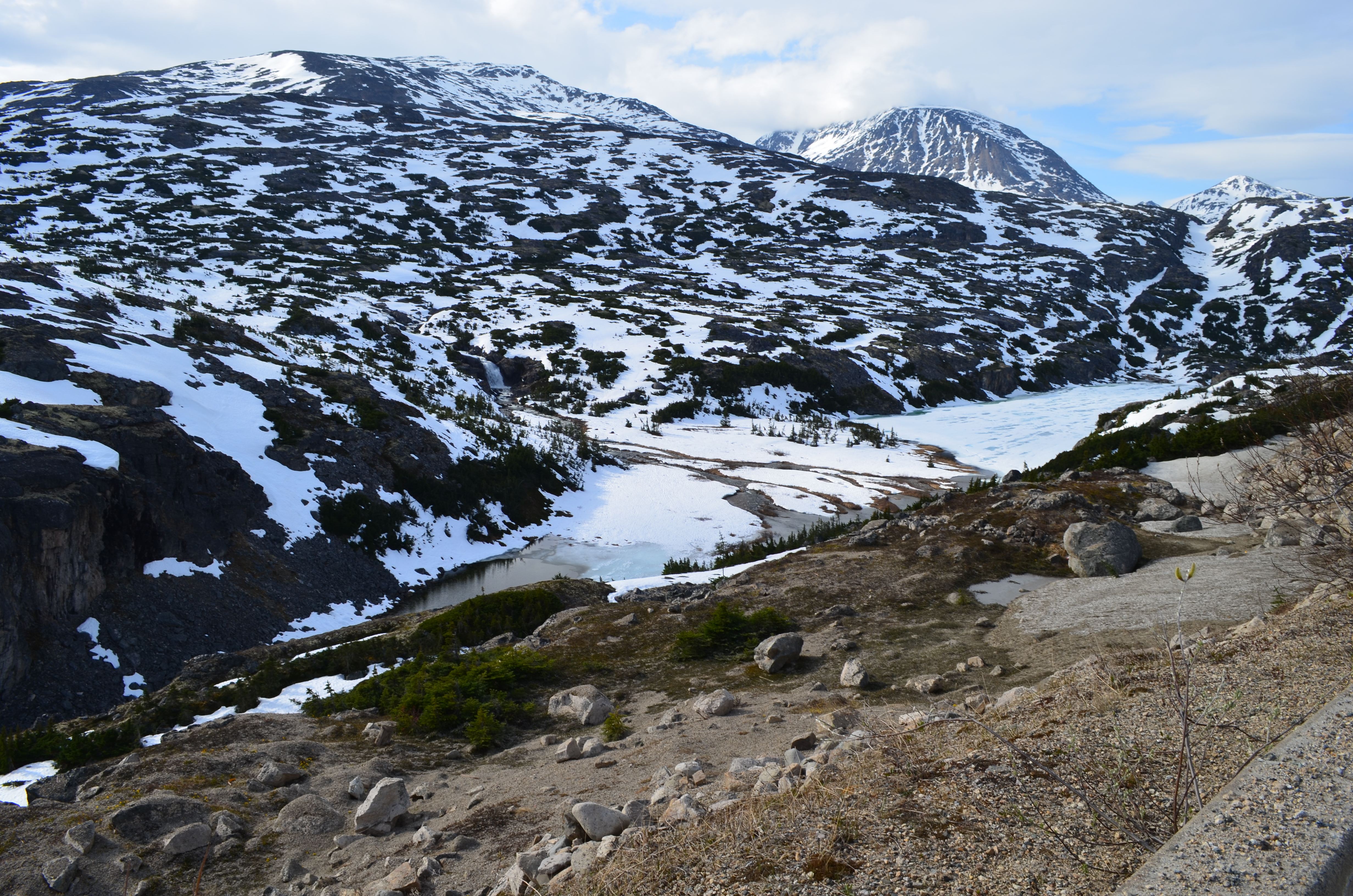 ./2017/08 - Alaska Cruise/09 - Skagway/DSC_0129.JPG